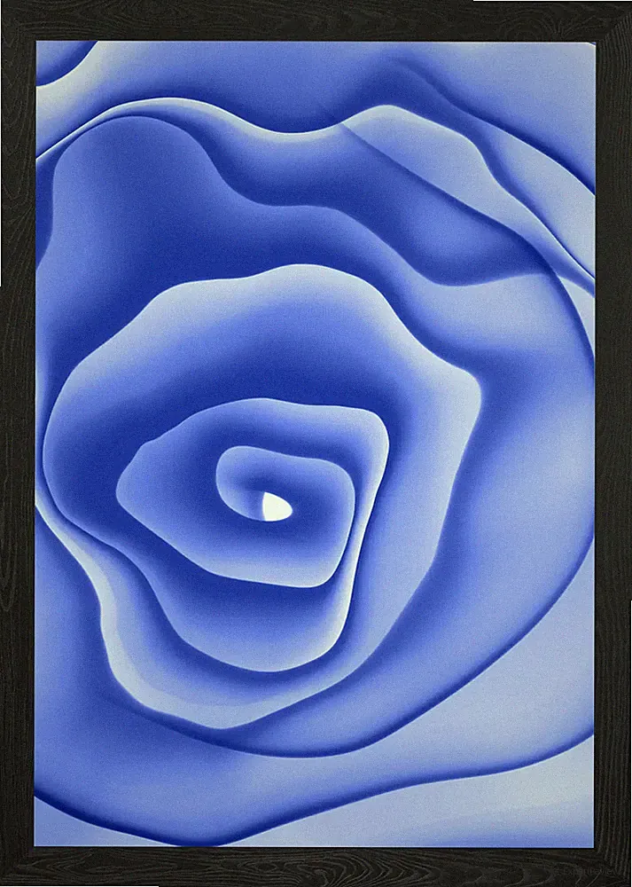 Rose Ink Background 21 Framed Wall Art Poster Canvas Print Picture